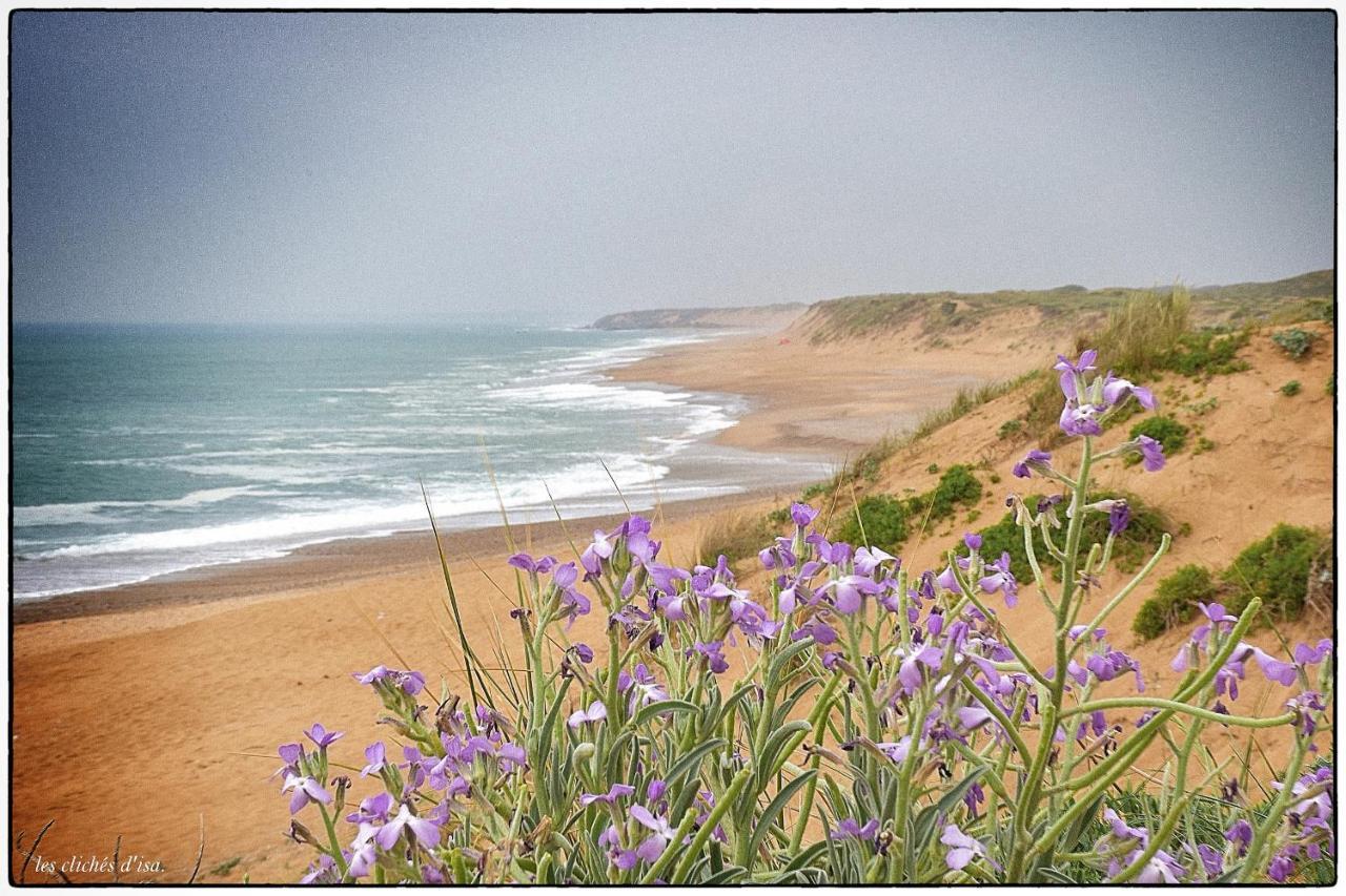 La Calypsette - Face Grande Plage Des Sables D'Olonne Les Sables-dʼOlonne Kültér fotó